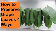 how to preserve grape leaves 4 ways