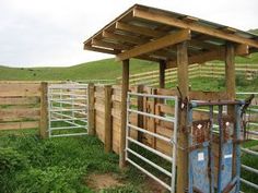 a fenced in area with cows and cattle pens on the other side of it