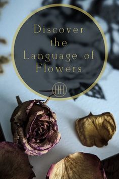 flowers with the words,'discovering the language of flowers'in gold and black