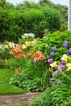 a garden with lots of colorful flowers and greenery