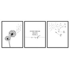 three black and white posters with dandelions on them, one is saying every dream begins