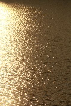 the sun shines brightly in the water as it reflects off the surface of the water