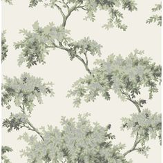 an image of a tree wallpaper with leaves and branches on white background in shades of green