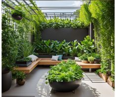 Indore Garden Design, Garden Terrace Design, Teris Garden Ideas, Roof Top Garden Ideas Terrace Design, Terrace Garden Design Rooftop, Terrace Design Balcony Outdoor, Terrace Garden Rooftop Indian, Terrace Landscape Design, Open Terrace Ideas