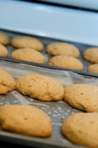 freshly baked cookies are lined up on a baking sheet in the oven, ready to be eaten