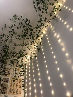 vines and lights are hanging from the ceiling