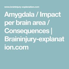 Amygdala / Impact per brain area / Consequences | Braininjury-explanation.com Brain