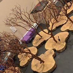 several pieces of wood sitting on top of a table next to each other with trees growing out of them