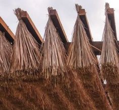 there are many straw umbrellas hanging on the building's roof line, which is made of wood and grass