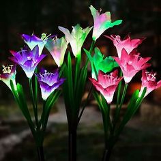 four brightly colored flowers are lit up in the dark night time, with green stems and purple petals