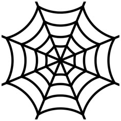 a spider web on a white background