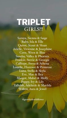 a yellow sunflower with the words triplet girls on it's back side