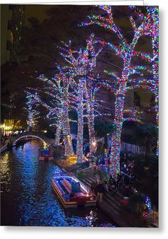 a canal filled with lots of lights next to tall trees covered in christmas lights at night