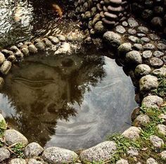 the reflection of rocks and trees in water