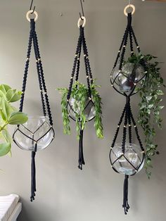 three hanging glass vases with plants in them