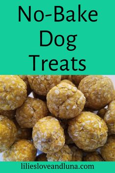 no bake peanut butter and pumpkin dog treats