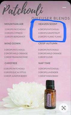 Patchouli Essential Oil Blends Perfume Recipes, Essential Oil Blends With Patchouli, Pheromone Perfume Diy, Aphrodisiac Diffuser Blends, Patchouli Spiritual Meaning, Bergamot Patchouli Diffuser Blend, Essential Oil Blends Roller, Essential Oil Perfume Blends