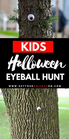 kids halloween eyeball hunt on a tree