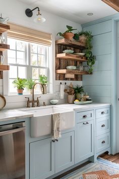 a kitchen with blue cabinets and wooden shelves filled with potted plants on the windowsill