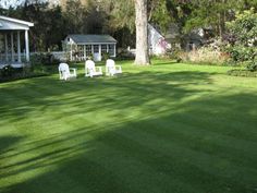 two lawn chairs sitting on top of a lush green field next to a white house