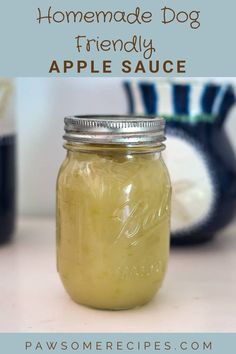 homemade dog friendly apple sauce in a mason jar with text overlay that reads homemade dog friendly apple sauce