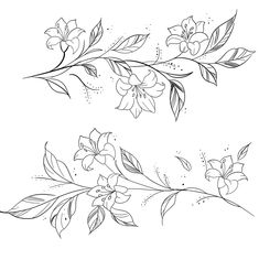 some flowers and leaves on a white background