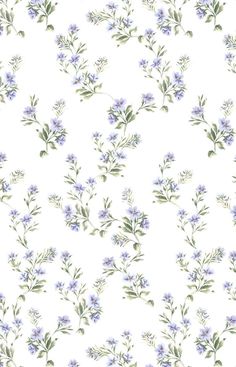 a white background with blue flowers and green leaves on the bottom right corner is an image of lavender