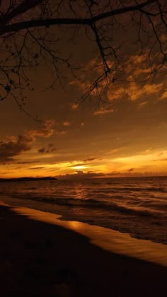 the sun is setting over the ocean with clouds in the sky and trees on the beach