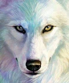 a white wolf with blue eyes looks at the camera while standing in front of a blurry background