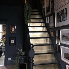 the stairs are lined with pictures and plants