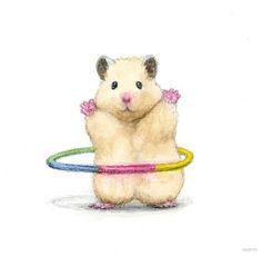 a drawing of a hamster playing with a hula hoop