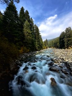 a river running through a forest filled with rocks