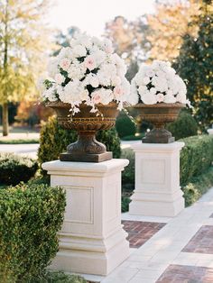 two vases filled with white flowers sitting on top of pedestals next to bushes