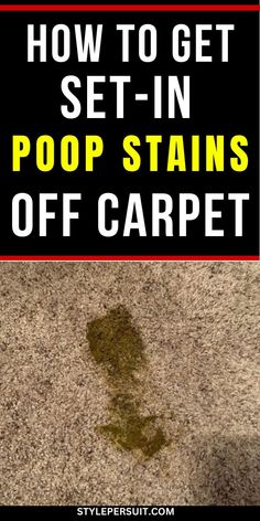 how to get set - in poop stains off carpet with the title overlay