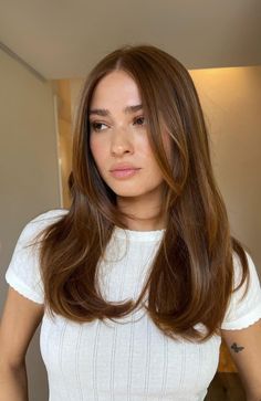 Honey Brown Hair, Hairstyles For Layered Hair, Long Brown Hair, Haircuts For Medium Hair, Haircuts Straight Hair, Hair Inspo Color, Medium Length Hair Cuts