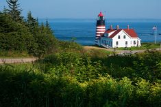 the lighthouse is surrounded by trees and bushes near the water's edge, with an ocean in the background