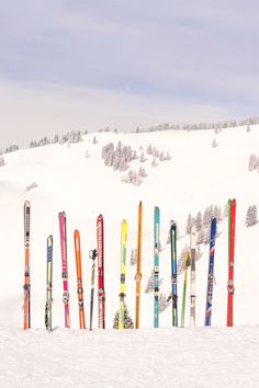 there are many skis lined up in the snow