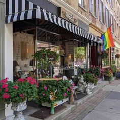 a store front with potted plants and stuffed animals on the sidewalk next to it