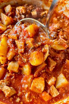 a ladle scooping up some food out of a pot filled with stew and potatoes