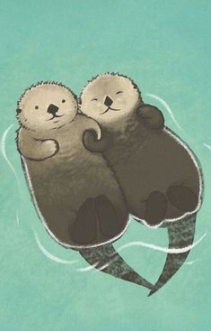 two sea otters hugging each other in the water