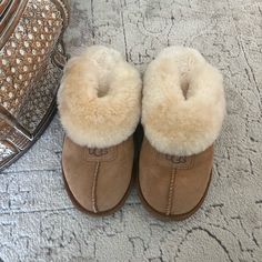 Work Once Indoors. No Box. Ugg Platform Slippers, Ugg Slip Ons, Ugg Dakota Slippers, Cute Uggs, Ugg Coquette, Embroidered Slippers, Ugg Dakota, Grey Slippers, Pink Slippers