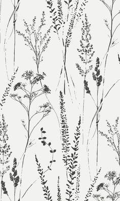 black and white drawing of plants on a light gray background, with small leaves in the foreground