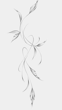 a drawing of a branch with leaves on it