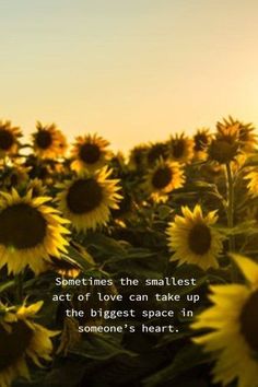 the sunflowers are blooming and there is a quote on it that says sometimes the smallest act of love can take up the biggest space in someone's heart