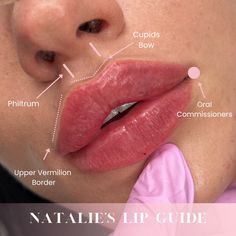 ... The skin on your lips is incredibly thin - there are just three to six layers of cells in comparison to the 16 layers everywhere else on your body. Have a look at our lip guide to know the parts of the lips! Enrolling now, please get in touch . . . #russianlips #russianlipstechnique #nataliepageaesthetics #nataliepageaestheticsacademy Round Lip Filler, Lip Filler Shape Ideas Pouty, Full Lips Natural, Lip Filler Styles, Russian Lip Filler Technique, Lip Injections Shapes, Russian Keyhole Lips, Russian Lips, Desired Lips