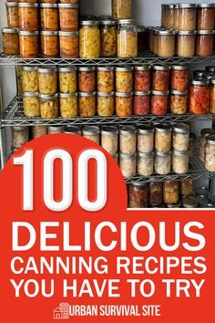 the book cover for 100 delicious canning recipes you have to try by urban survival site