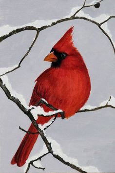 a painting of a cardinal perched on a tree branch