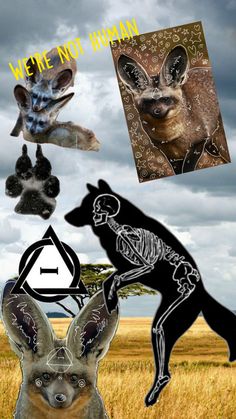 an image of some animals that are in the air with captioning above them