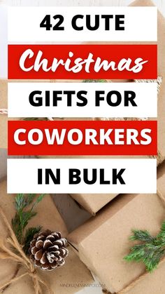 42 cute Christmas gifts for coworkers in bulk in the gift guide on mindfulnessinspo.com Gifts For Staff Christmas, Gifts For Large Groups, Gifts For Employees From Boss, Team Christmas Gifts, Cheap Gifts For Coworkers, Bulk Gifts For Coworkers, Teacher Coworker Gifts, Coworker Holiday Gifts, Gifts For Office Staff