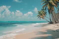 palm trees line the beach on a sunny day